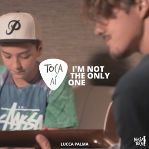 I'm Not the Only One (Toca Ai Lucca Palma) - Single