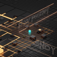 In My Pocket - Single - SNDY