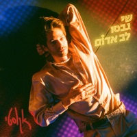 לב אדום (אקוסטי) - Single - Shay Gabso