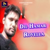 Dil Hamar Rovella - Single