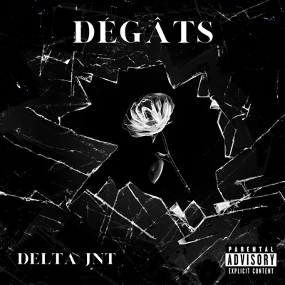 Dégâts - Single