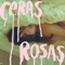 Ceras rosas artwork