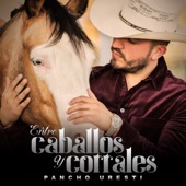 Entre Caballos y Corrales artwork