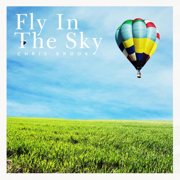 Fly In The Sky