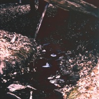 Cycle 2 - Single - Thought Trials