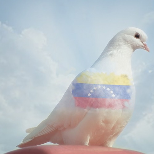Hay Vida - Single