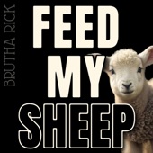 Feed My Sheep artwork