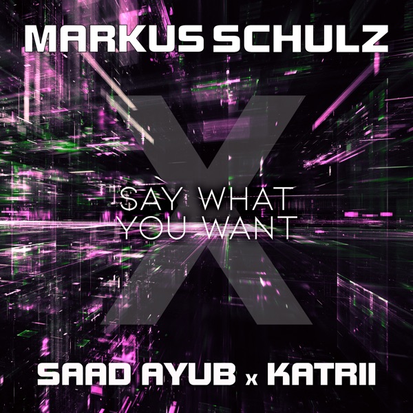 Say What You Want - Single
