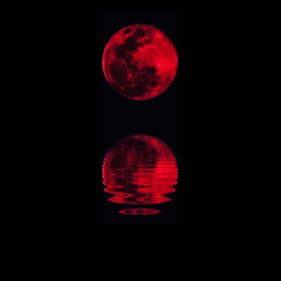 Veneno da Noite - Single