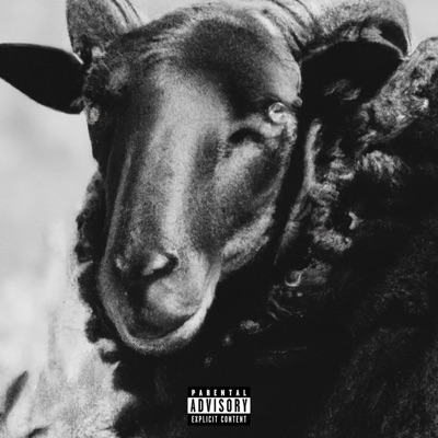 Black Sheep - Single