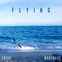 Flying (feat. WavyDavy) - Single - Amani