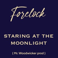 Staring at the moonlight (feat. Forelock) - Single - Mr. Woodwicker