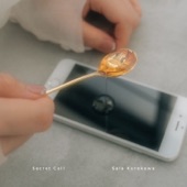 Secret Call artwork