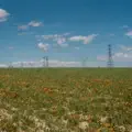 Opportunity