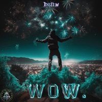 WOW - Single - Dstew
