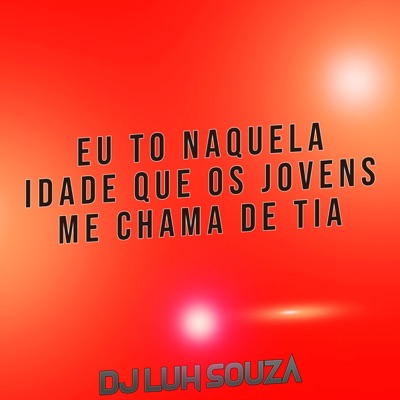 Dj Luh Souza - Eu To Naquela Idade que os Jovens Me chama de Tia