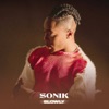 Sonik