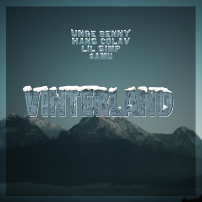 VINTERLAND (feat. $AMU, Hans Colav & Lil Simp) - Single