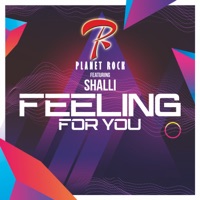 Feeling For You - Single - Planet Rock & Shalli