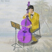 Shá Cello (Boné de Florzinha) - Single - amarelomano