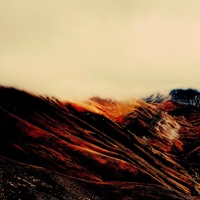 Four Forgetting - Bvdub