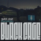 Black Cage artwork