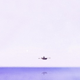 Viaje Slo Loris & Towerz