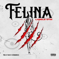 Felina LTS - Single - Ladele OTM