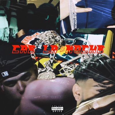 Cae La Noche (feat. Leniel) - Single