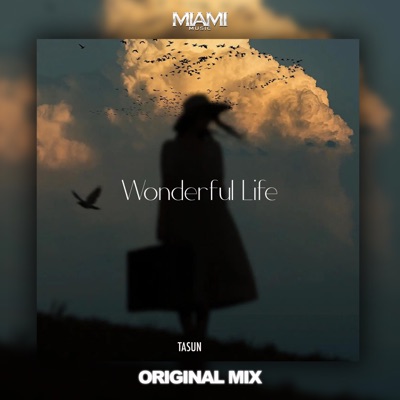 Wonderful Life - Tasun | Shazam