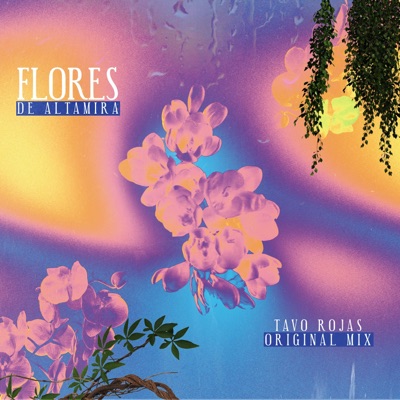 Flores De Altamira - Single