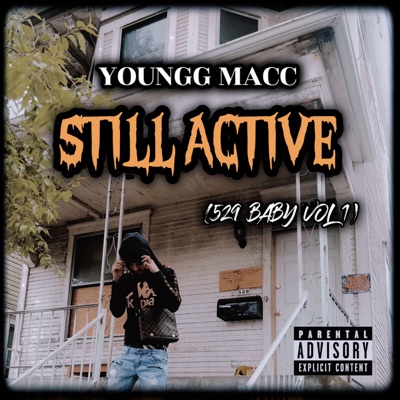 Still Active (529 Baby Vol.1)