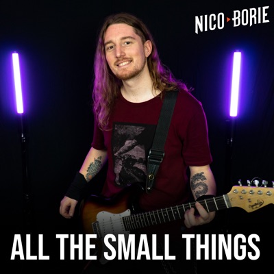 All the Small Things (Español) [Cover] - Single