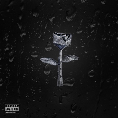 Ska Aldrig Sakna - Single