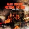 Party Mixture Picture Fixture - Single