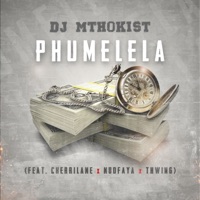 Phumelela (feat. Cherrilane, Ndofaya & Thwing) - Single - Dj Mthokist