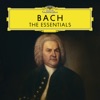 Cello Suite No. 1 in G Major, BWV 1007: I. Prelude