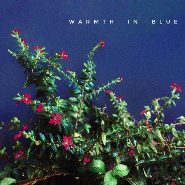 Warmth in Blue