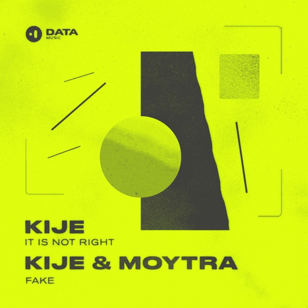It Is Not Right / Fake - Single