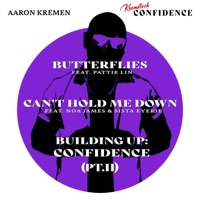 Kremstock CONFIDENCE - Single - Aaron Kremen