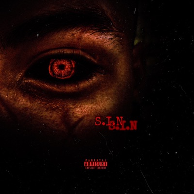 S.I.N.