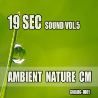 19sec Sound, Vol. 5 - EP