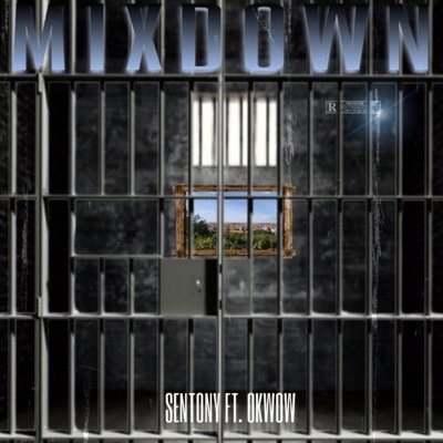 MIXDOWN (feat. Okwow & Doc Mool) - Single