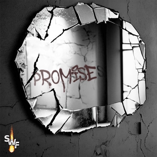 Art for Promises by Stars Will Fall