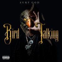 Bird Talking - Single - Surf God