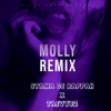 Molly (feat. Taevybz) [Remix] - Single