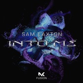 Into Me (Extended Mix) artwork