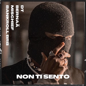 Non Ti Sento
