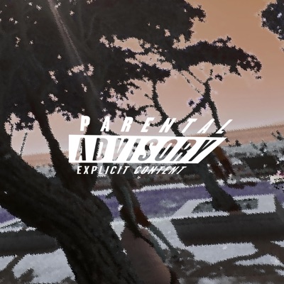 Back In a Mode - Single