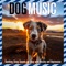 Music Therapy - Dog Music Dreams & Relaxmydog lyrics